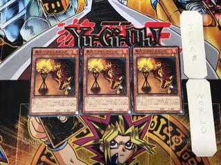 Watchdog-Watchdog 1 Normal, set of 3 Tera