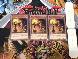 Watchdog-Watchdog 2 Normal, set of 3 Tera