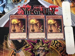 Watchdog-Watchdog 3 Normal, set of 3 Tera