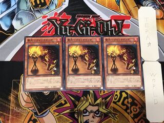 Watchdog-Watchdog 4 Normal, set of 3 Tera