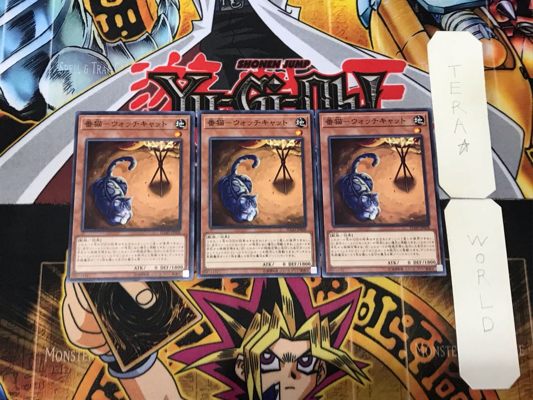 Watch Cat - Watch Cat 4 Normal, set of 3 Tera