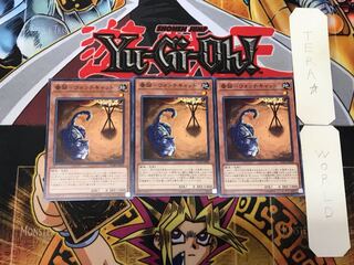 Watch Cat - Watch Cat 5 Normal, set of 3 Tera