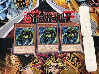 Wandering King Wildwind 4 Normal, set of 3 Tera