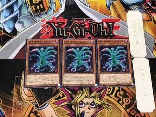 Predaplant Sarraceniant 1 Normal, set of 3 Tera.