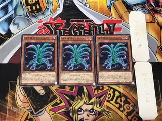 Predaplant Sarraceniant 3 Normal Set of 3 Tera