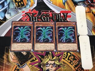 Predaplant Sarraceniant 4 Normal, set of 3 Tera.