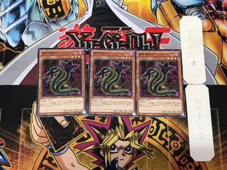 Predaplant Darlingtonia Cobra 5 Normal Set of 3 Tera