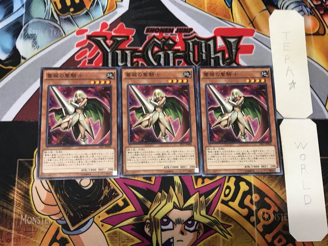 Rose Paladin 2 Normal, set of 3 Tera