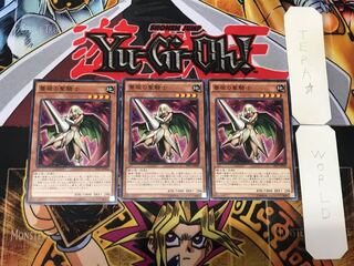 Rose Paladin 3 Normal, set of 3 Tera