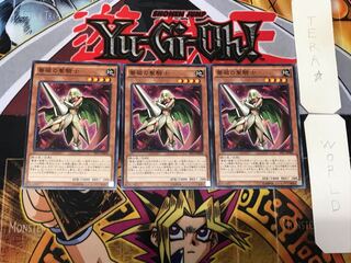 Rose Paladin 4 Normal, set of 3 Tera