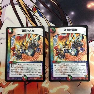 いっち様専用　蒼龍の大地