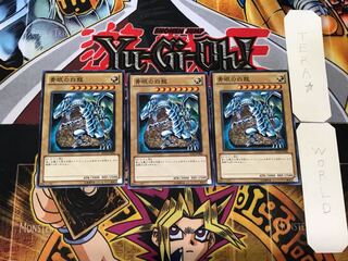 Blue-Eyes White Dragon 1 Normal, set of 3 Tera