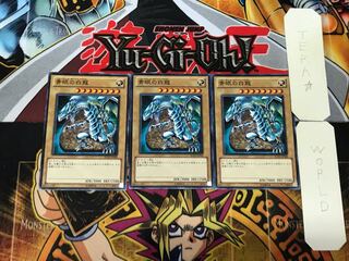 Blue-Eyes White Dragon 2 Normal, set of 3 Tera