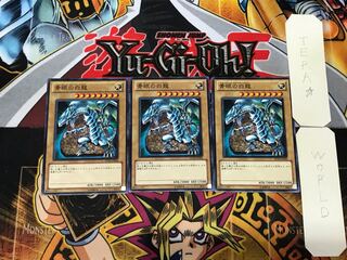 Blue-Eyes White Dragon 3 Normal, set of 3 Tera