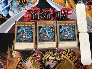 Blue-Eyes White Dragon 5 Normal, set of 3 Tera