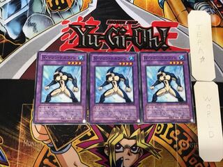 Neo-Spacian Marine Dolphin 1 Normal, set of 3 Tera