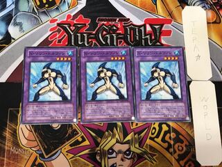 Neo-Spacian Marine Dolphin 3 Normal, set of 3 Tera