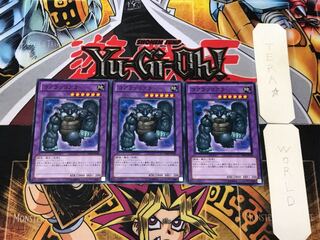 Koalo-Koala 5 Normal, set of 3 Tera