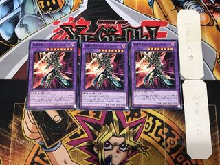 Psychic Mage Swordsman - Black Paladin 1 Normal, set of 3 Tera.