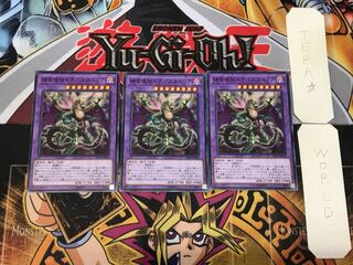 Predaplant Dragostapelia 2 Normal, set of 3 Tera.