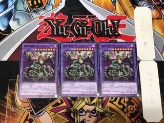 Predaplant Dragostapelia 4 Normal Set of 3 Tera