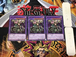 Predaplant Dragostapelia 5 Normal Set of 3 Tera