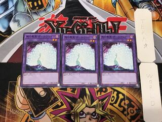 Allvain the Essence of Vanity 3 Normal 3-card set Tera