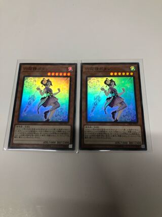 Mudan the Rikka Fairy 2-piece set