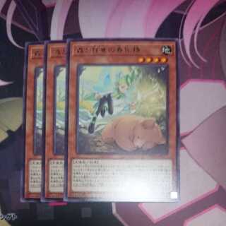 Forest and Awakening Springized Spirit Rare 3 pieces