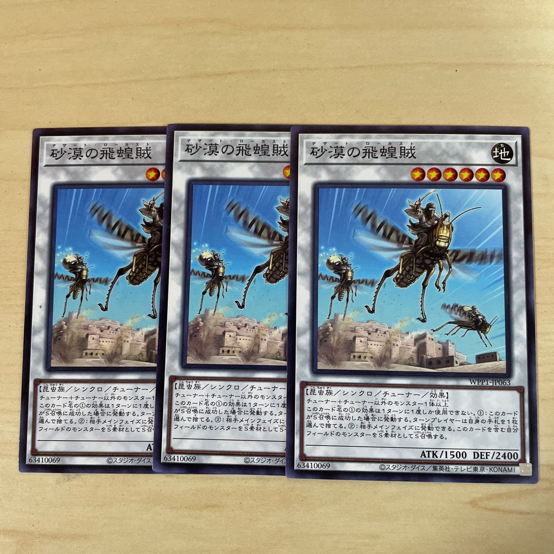 砂漠の飛蝗賊♧1998