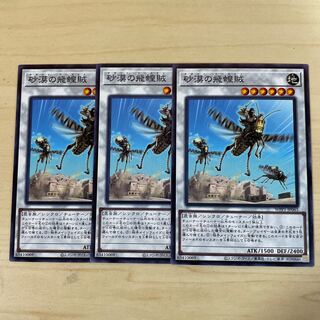 Desert Locusts♧1999