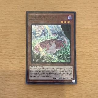 Danger! Tsuchinoko? Super Rare