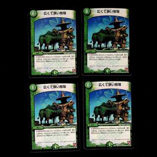 DM Wide and narrow ranch, rare, set of 4 (1)