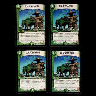 DM Wide and narrow ranch, rare, set of 4 (2)