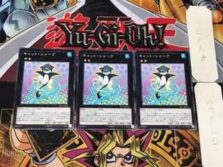 Cat Shark 1 Normal, set of 3 Tera.