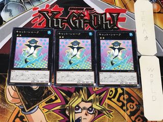 Cat Shark 2 Normal, set of 3 Tera