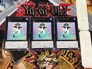 Cat Shark 3 Normal Set of 3 Tera