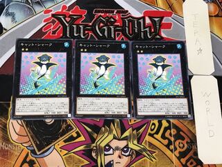 Cat Shark 4 Normal, set of 3 Tera.