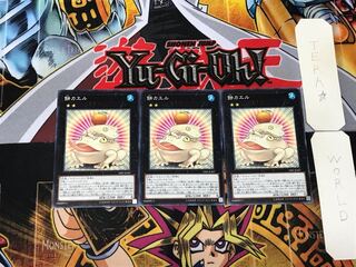 Toadally Awesome 1 Normal, set of 3 Tera.