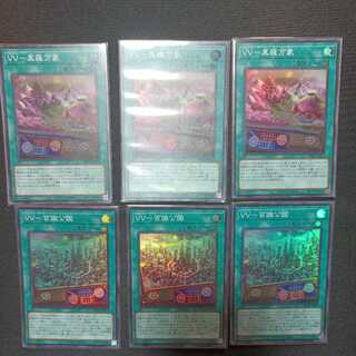 VV-Shara Manzou VV-Hyakushoku Kouen Total set of 6