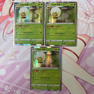 ワタシラガ R 3枚