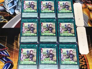 アロマガーデニング 1 ノーマル 9枚セット てら