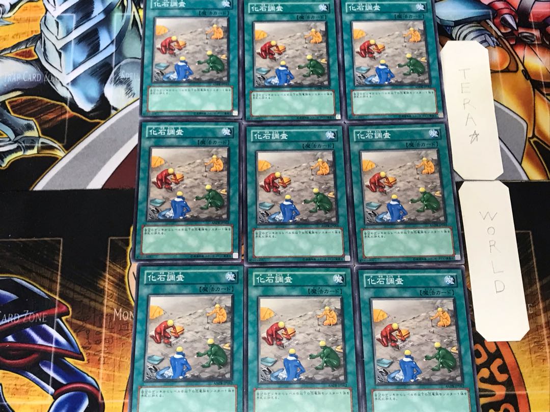 Fossil Dig 4 Normal Set of 9 Tera