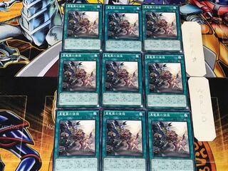 Disciples of the True Dracophoenix 1 Normal 9-card set Tera