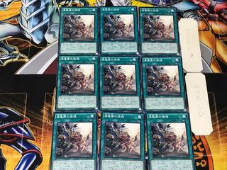 Disciples of the True Dracophoenix 2 Normal 9-card set Tera