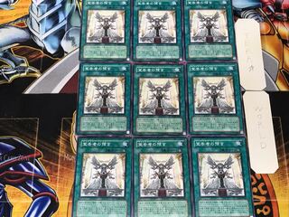 Dawn of the Herald 2 Normal 9-card set Tera