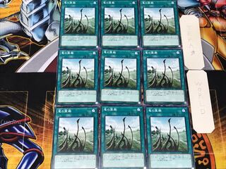 Dragon Shrine 1 Normal, set of 9, Tera