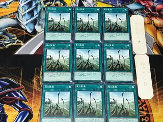 Dragon Shrine 2 Normal, set of 9, Tera