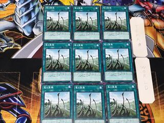 Dragon Shrine 3 Normal, set of 9, Tera