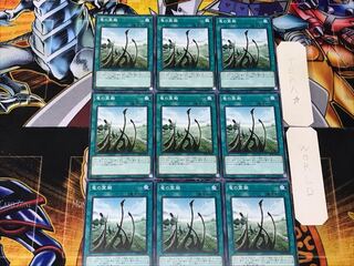 Dragon Shrine 4 Normal, set of 9, Tera